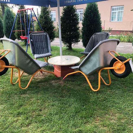 Pensiunea Mara Baiculesti Экстерьер фото